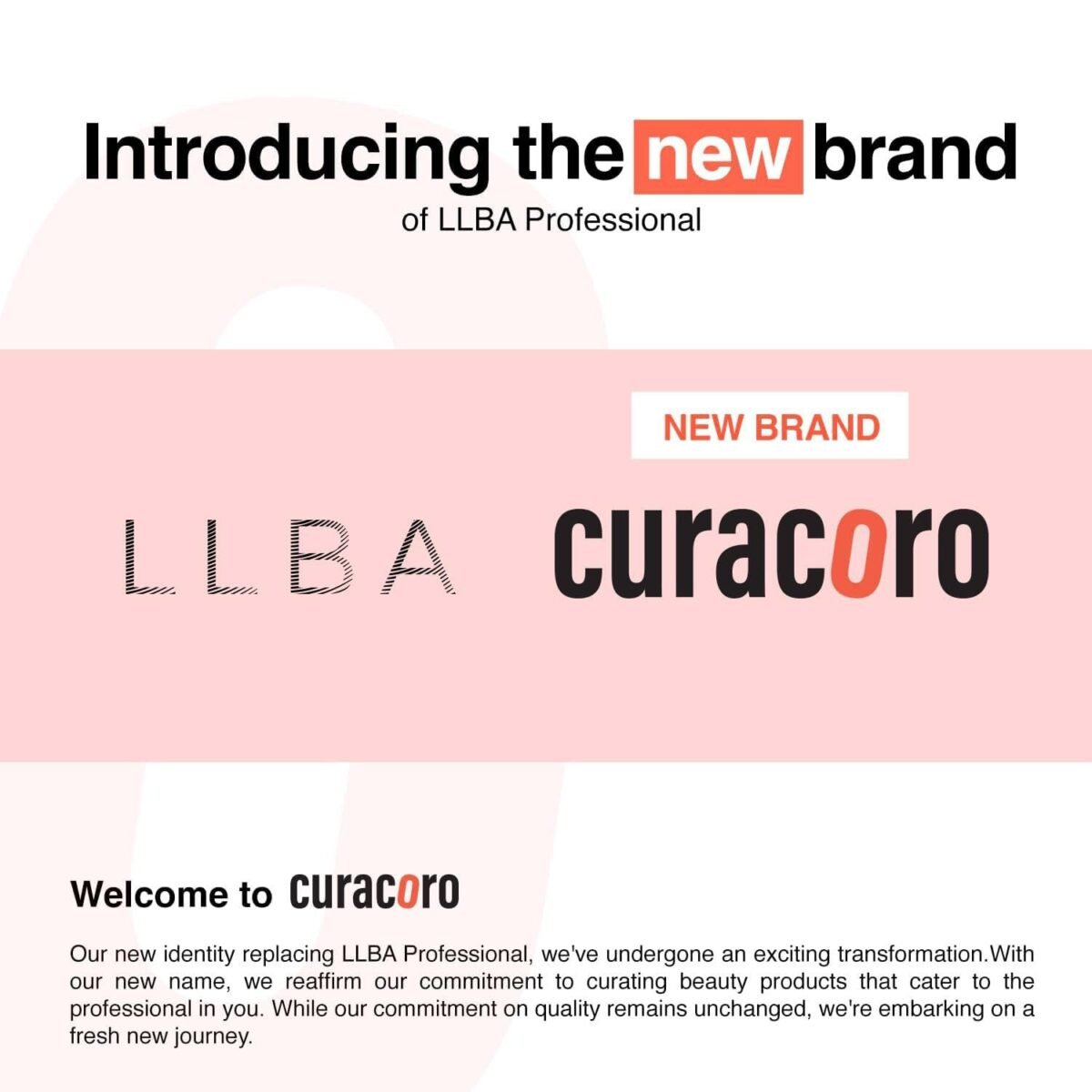 Curacoro Promade Lash Fans - Image 3