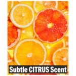 DASHU Mega Hold Hair Spray - Image 7