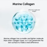 MAREE Lip Moisturizer - Image 8