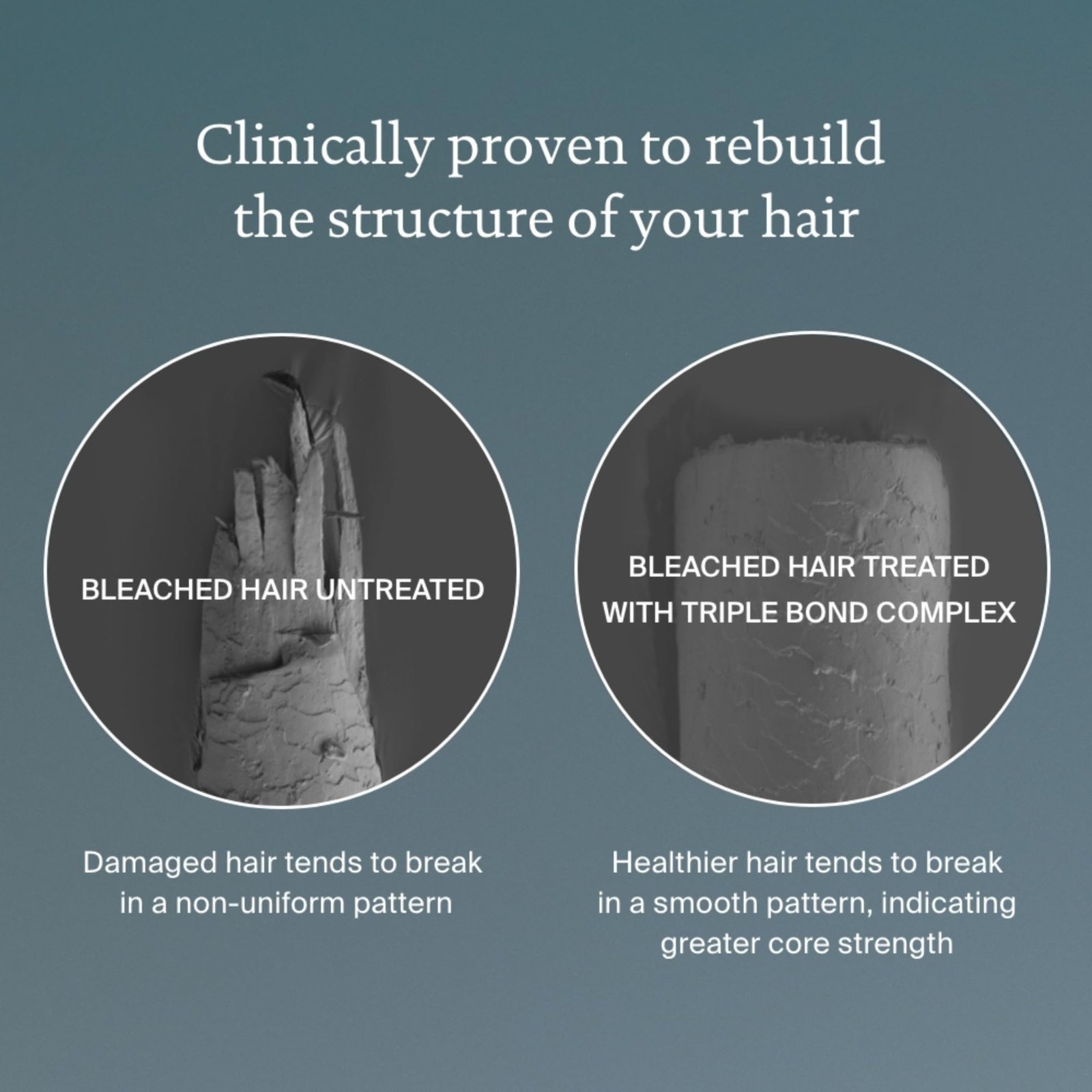 71-gQ4hwjHL.jpg Living Proof Hair Strengthener - Image 6