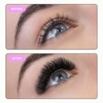 Curacoro Promade Lash Fans - Image 5