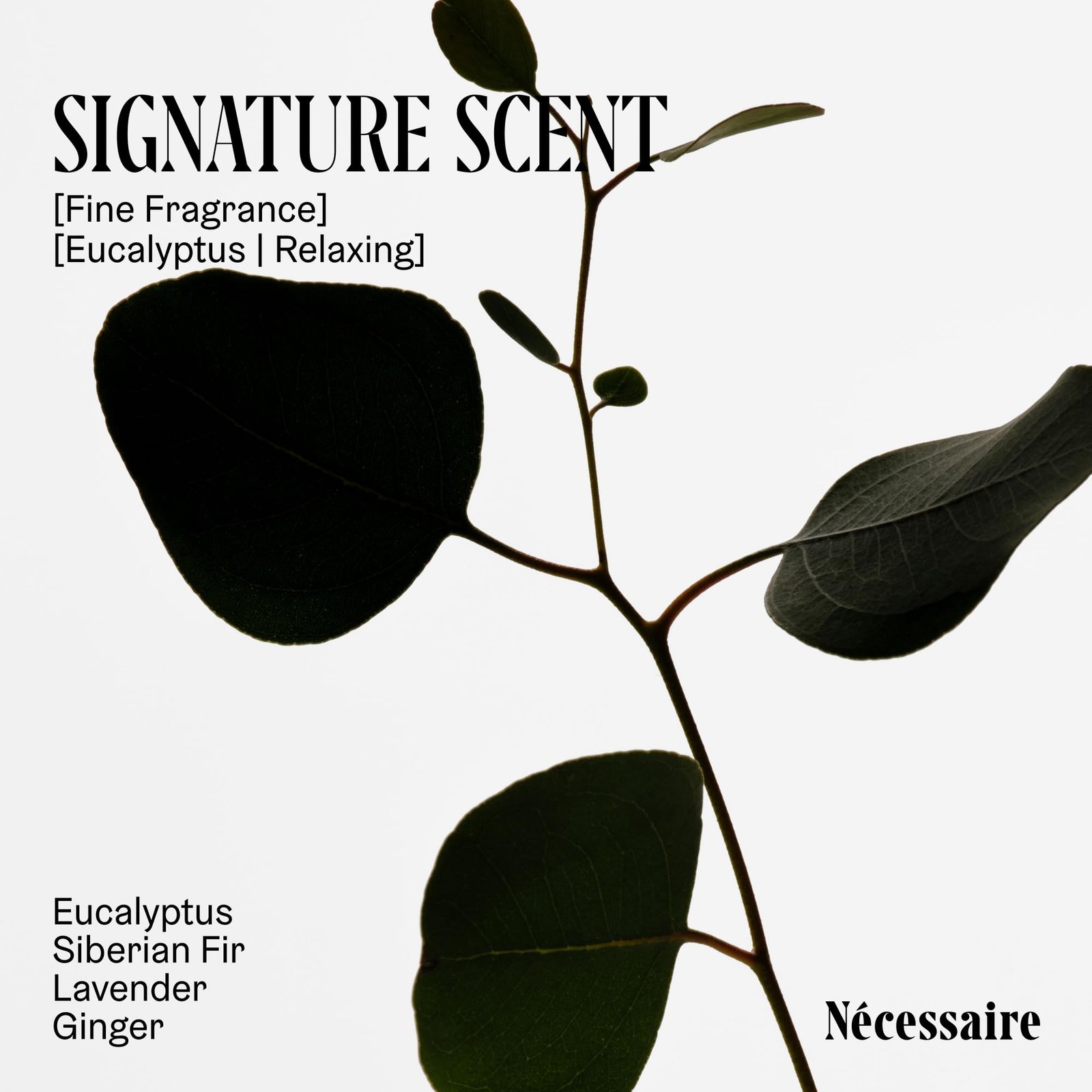 71JezxcU4FL.jpg Nécessaire Body Exfoliator Eucalyptus - Image 4