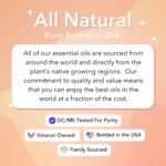 Hair Envy Growth Serum - Image 6