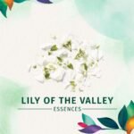 Herbal Essences Lily Spray Gel - Image 5