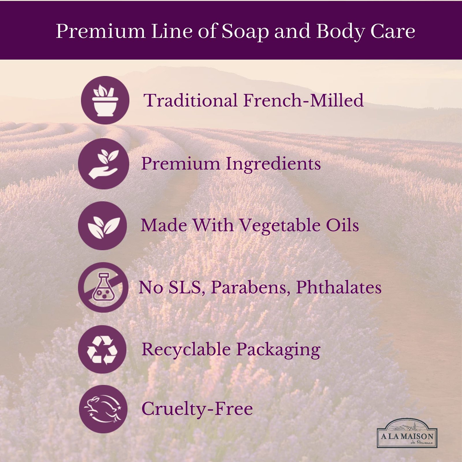 81fBDpkXTIS.jpg A La Maison White Tea Liquid Soap - Image 7