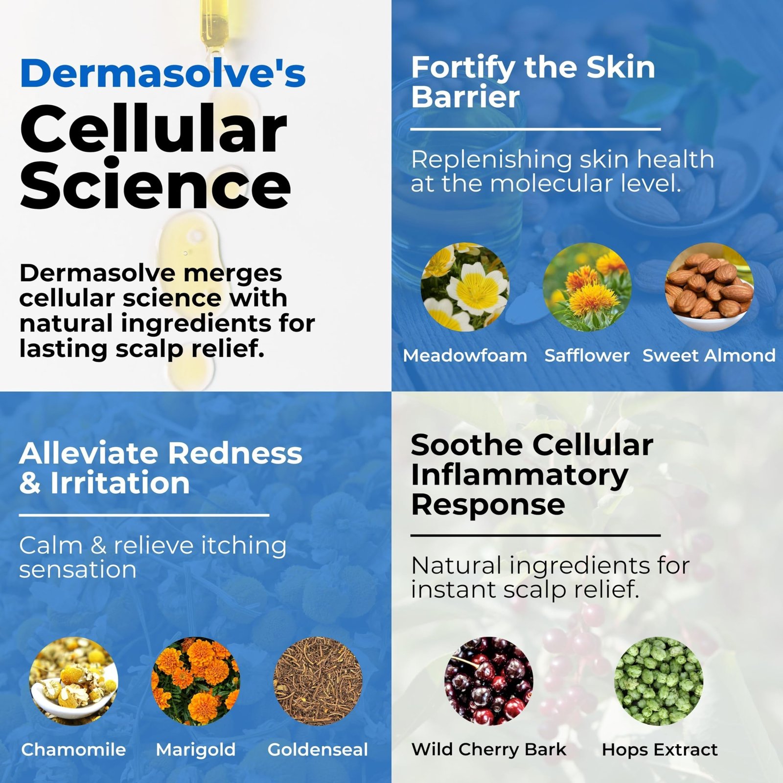 81q44b1MVbL.jpg Dermasolve Scalp Relief Oil - Image 4